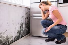 Best Mold Documentation for Insurance Claims  in Chelsea, OK